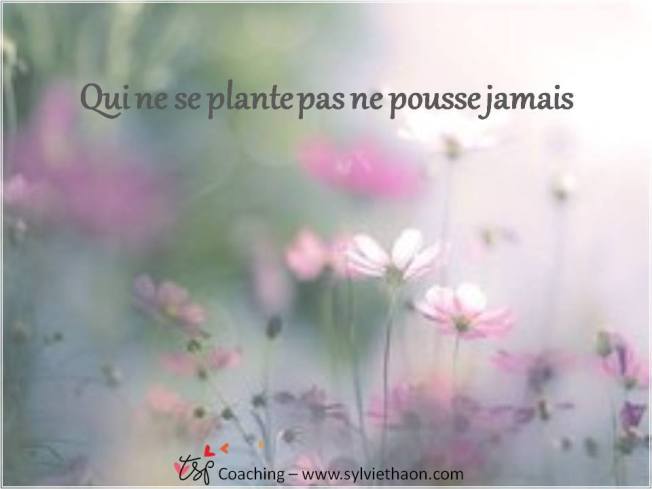 qui ne se plante pas ne pousse jamais sylvie thaon coaching consultation thérapeute gts concept frejus saint raphael var alpes maritime nice skype