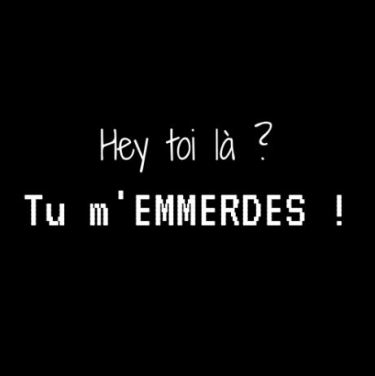 hey toi là tu m'emmerdes sylvie thaon coach développement personnel perte de poids conscience corps s'aimer s'estimer