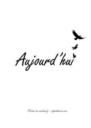 Breve de coaching sylvie thaon développement personnel trauma nouvelle vie force vitale puissance résilience