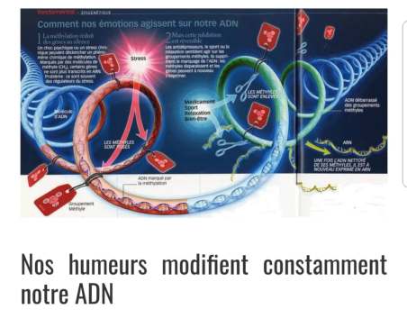 empreintes post traumatiques adn libération émotionnel choc sylvie thaon gts concept coach thérapie brève fréjus saint raphael var skype téléphone.jpg