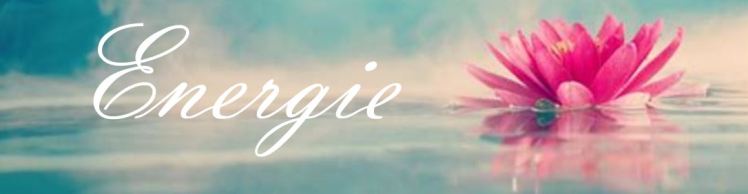 sérénité s'epanouir coaching therapie gtsconcept posttraumatique allergie maladie decodage biologique oser être soi phobie emdr thérapie breve art therapie eft pnl psychologue sylvie thaon frejus saint raphael draguignan var.JPG