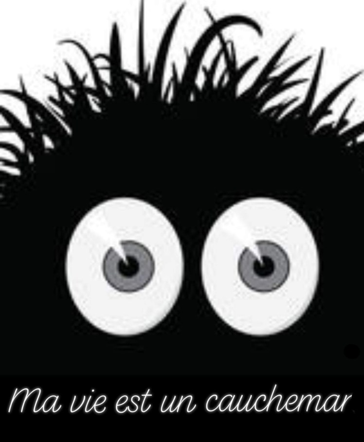 Cauchemar angoisse stress peur coaching de vie therapeute psychologue arttherapeute  coaching par l'art  gtsconcept emdr hypnose eft frejus saint raphael draguignan cannes var skype