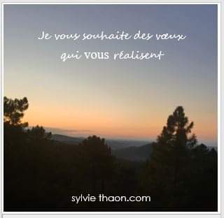 Sylvie thaon vieux bonne année coaching therapie breve arttherapie gtsconcept frejus draguignan saint raphael var cannes