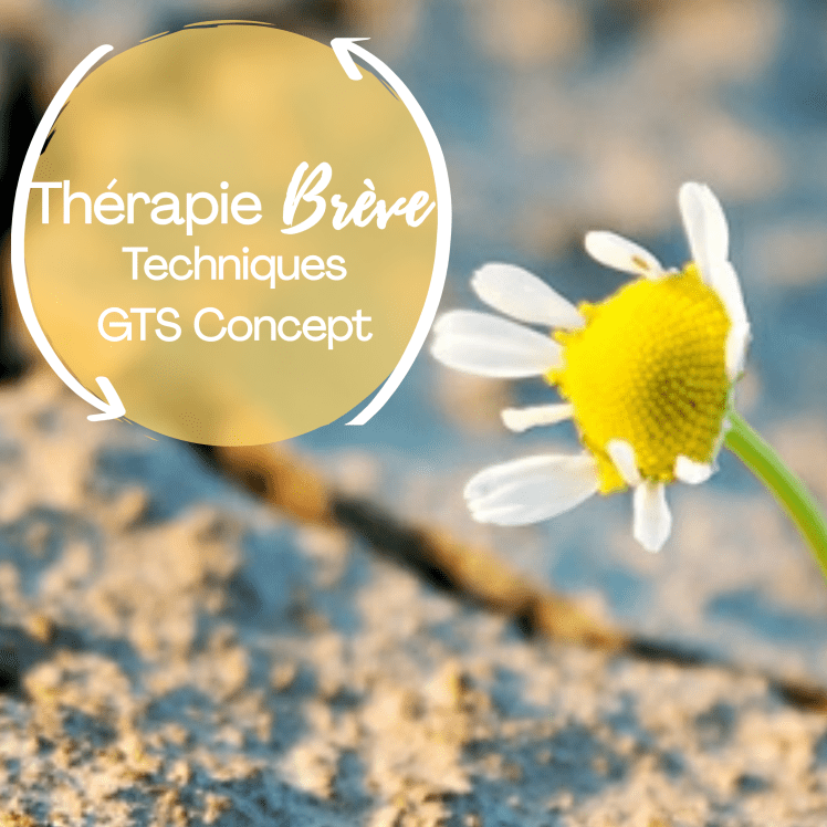 Gts concept therapie breve sylvie thaon post traumatique neuroscience emdr psychologue