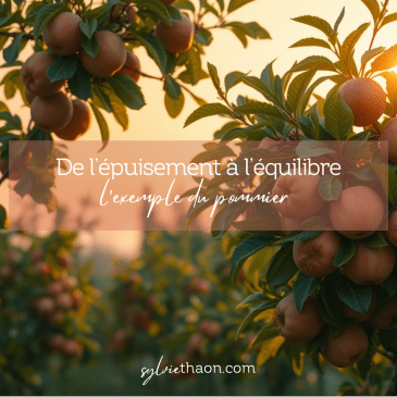 Frejus saint raphael draguignan roquebrune sur argens puget le muy